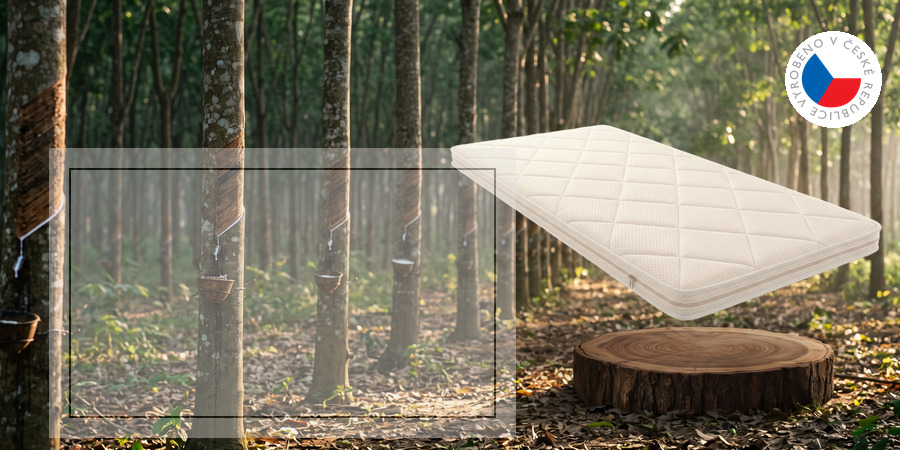 topper_latex-B2-carousel-tablet-900x450